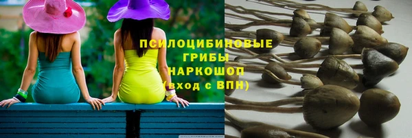 круглые Переславль-Залесский