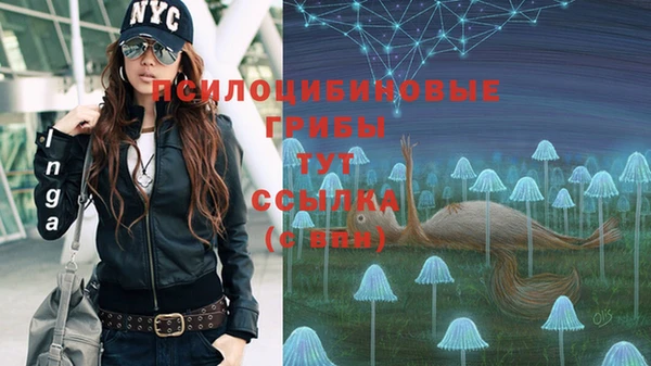 MDMA Premium VHQ Пестово