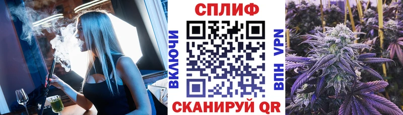 Шишки марихуана гибрид  как найти закладки  Покров 